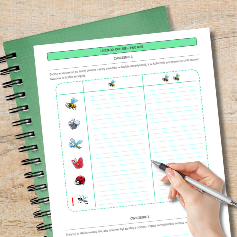 Karty pracy i Flashcards na CAŁY ROK - POZIOM 1