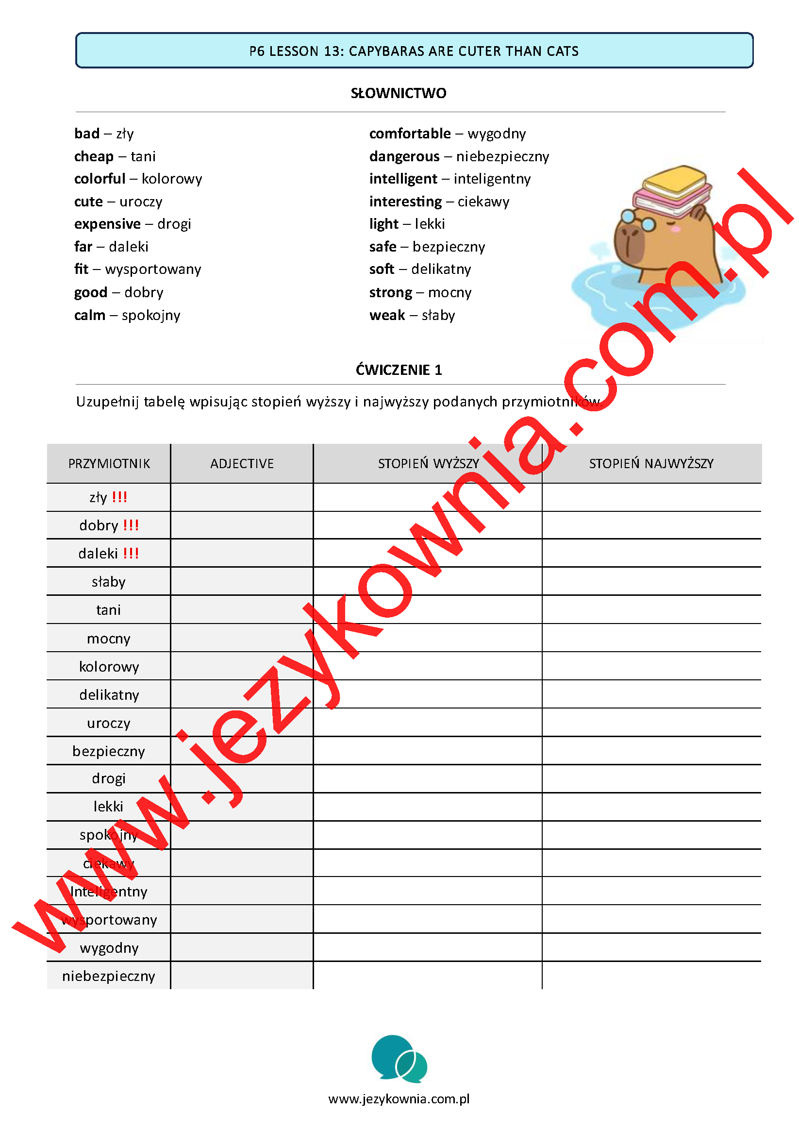 Karty pracy na CAŁY ROK - KLASA 6 - obrazek 24