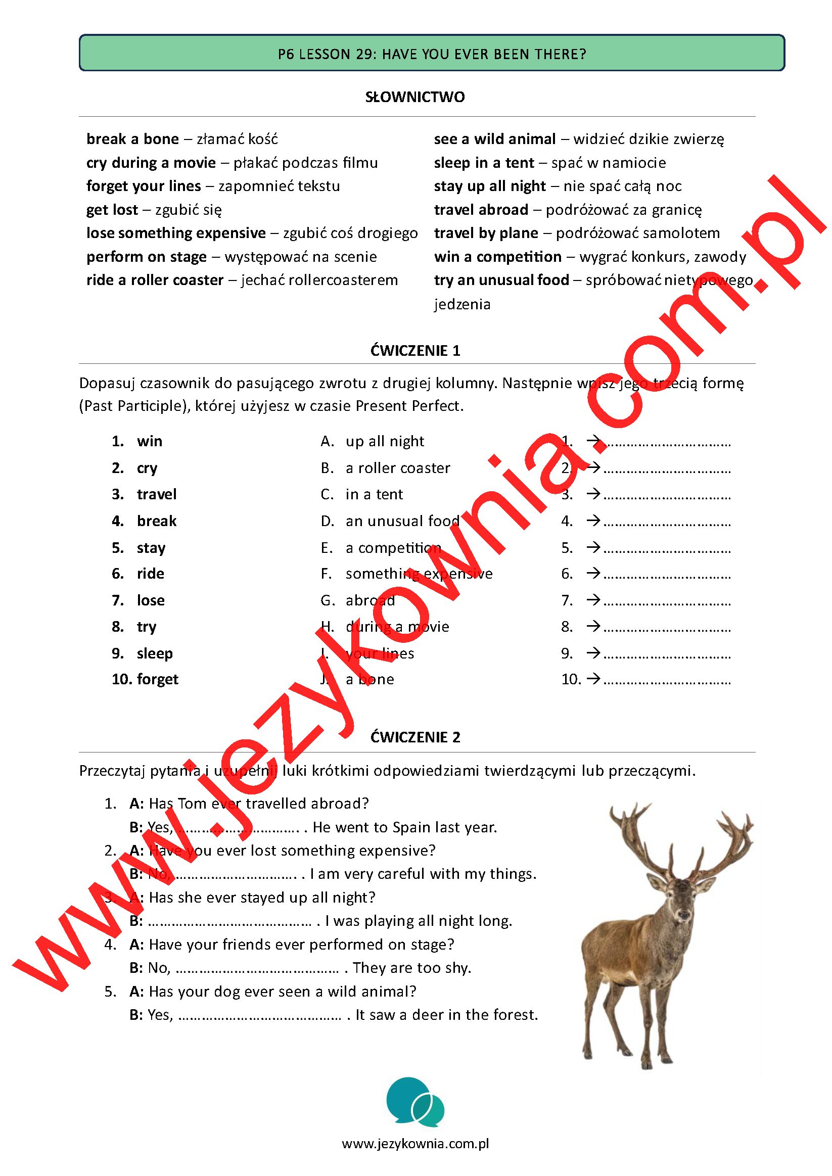 Karty pracy na CAŁY ROK - KLASA 6 - obrazek 53
